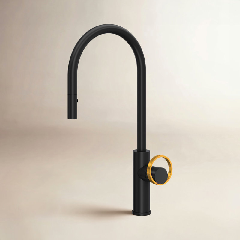 Eclissi™ Pull-Down Single Handle Kitchen Faucet with Accessories, Matte Black/Satin Gold