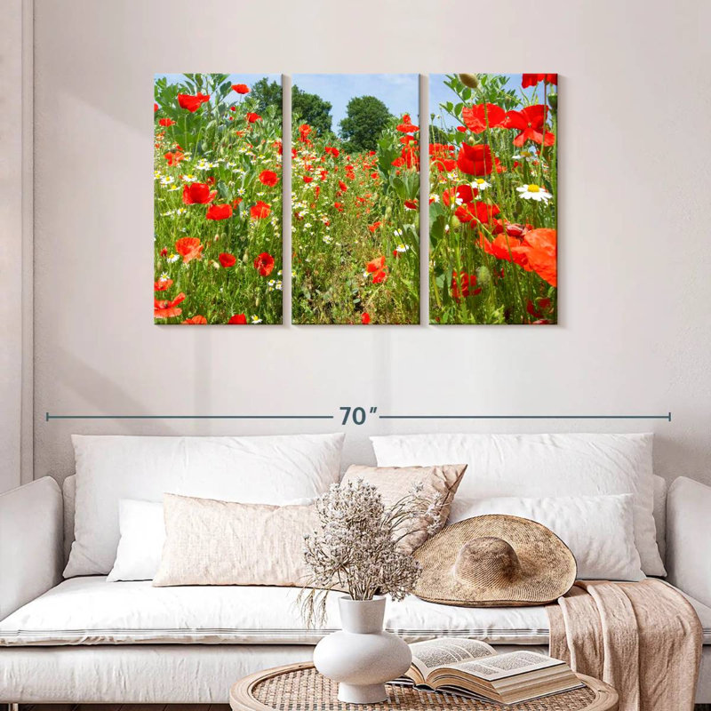 Coquelicots et marguerites Alvord, H 28 po x l 45 po