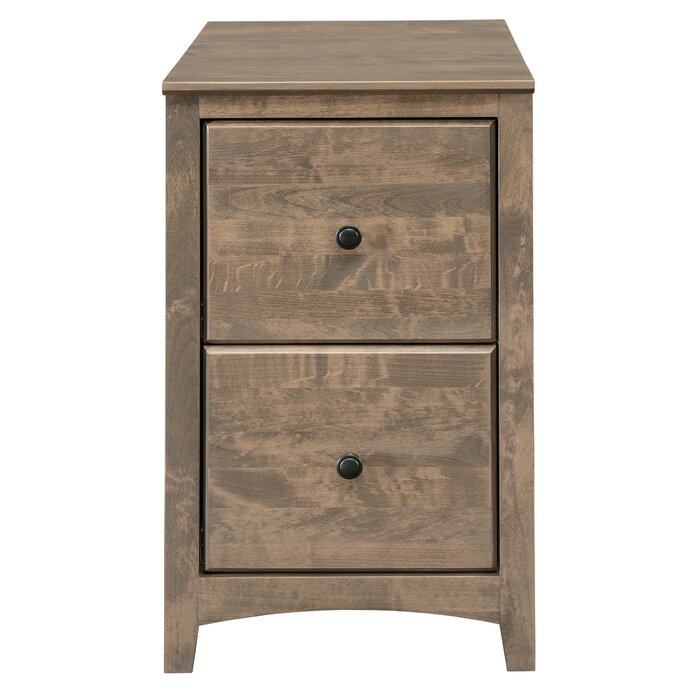 Foundry Select Malani 18'' Wide 2 -Drawer Solid Wood File Cabinet ...
