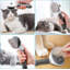 Brosse autonettoyante pour les chats et les chiens