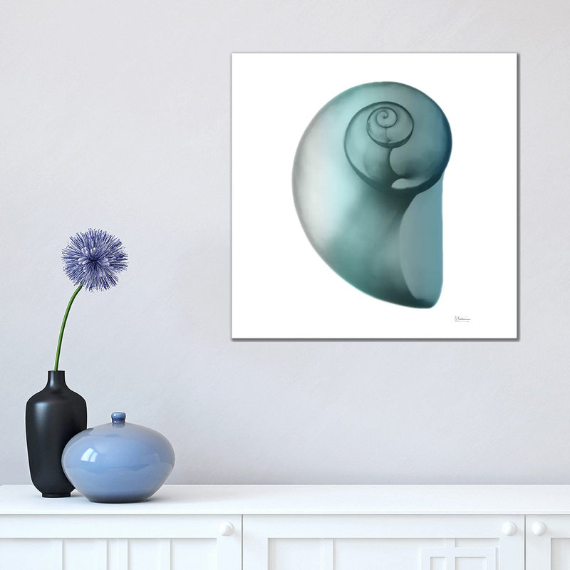Water Snail II by Albert Koetsier - Wrapped Canvas Print, 45.72 cm H x 45.72 cm W x 3.175 cm D