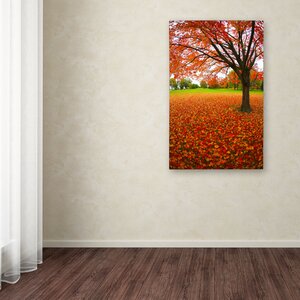 'Autumn Expressions Photographic Print on Wrapped Canvas