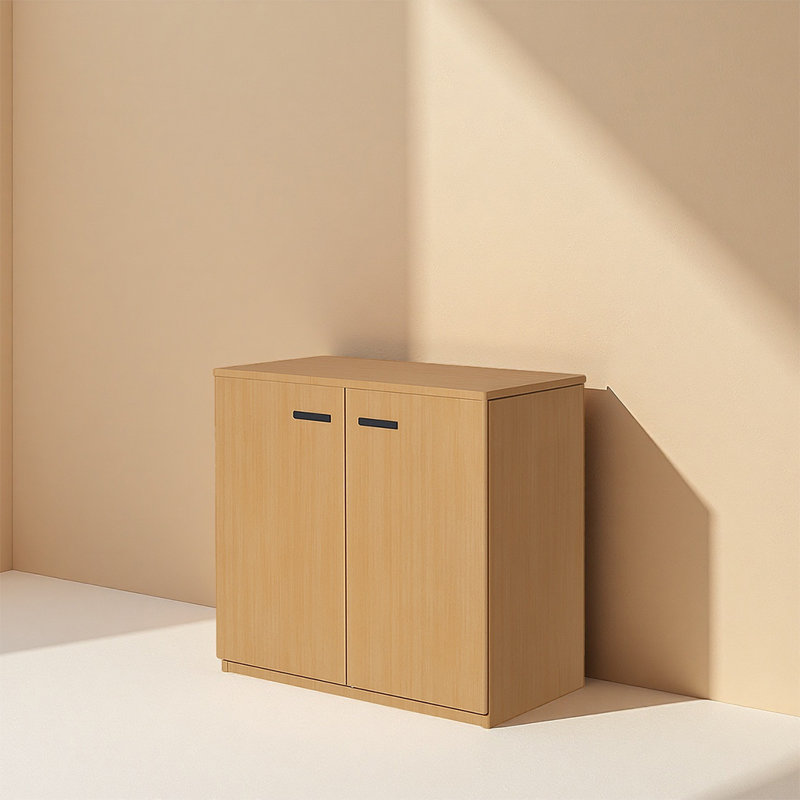 Modern Office Storage Display Filing Cabinets