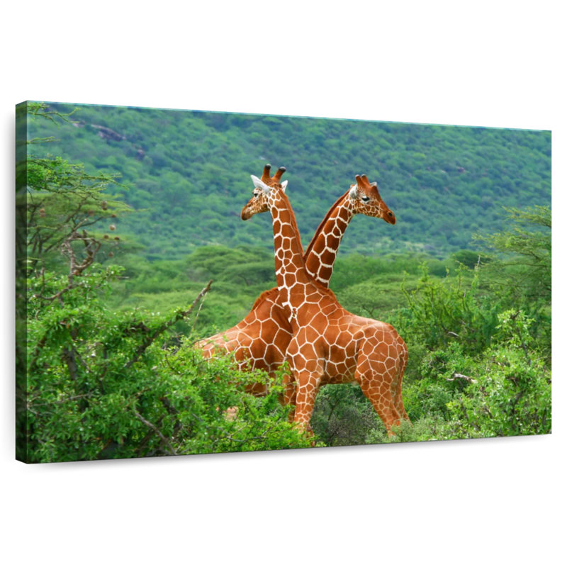 Crowle Giraffe Love