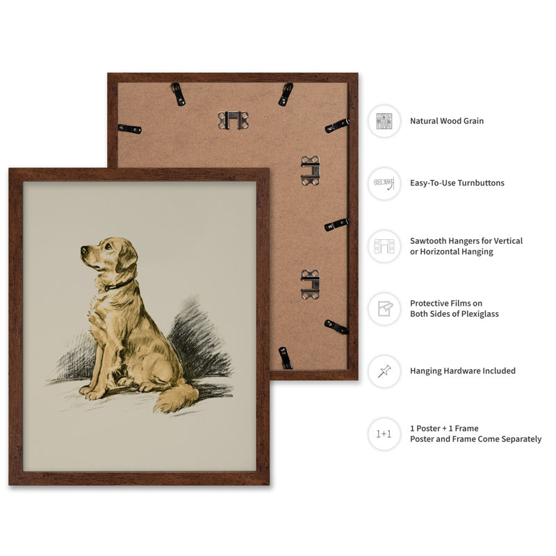 Labrador Retriever No1, Affiche, H 24 po x l 32 po, Encadrement brun