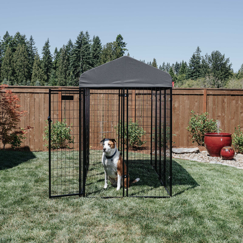 Black Powder Coat Steel Frame Outdoor Dog Kennel with Waterproof Canopy