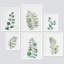 «Collage Watercolor Pastel Forest Plant Variété Nature Shapes», art moderne encadré sur papier, 6 pièces-92584117