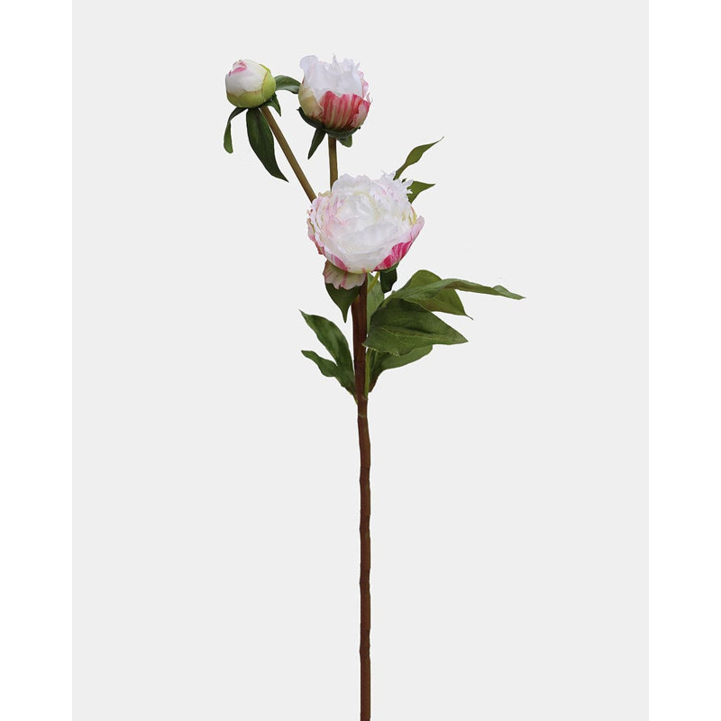 Pivoine jaune tendre 48 cm, Yellow