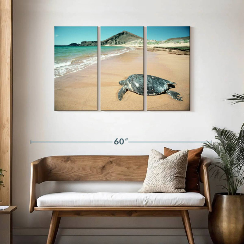 Brampt Galapagos Loggerhead Turtle, 28" H x 45" W