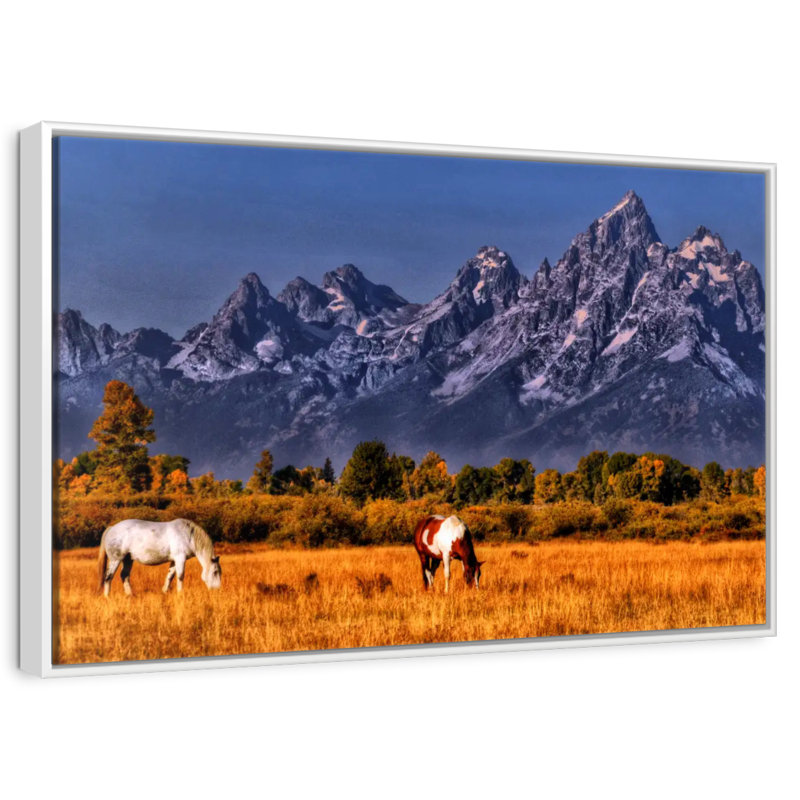 Chevaux paissant à Grand Teton, Cadre flottant blanc, 46 po x 31 po