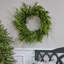 24" LED Battery Operated Timer Natural Touch Norfolk Pine Wreath
