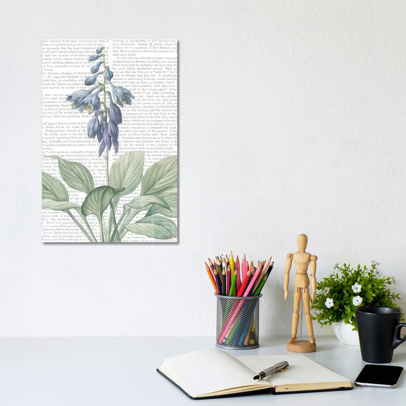 Summer Botanicals II - Wrapped Canvas Print, 20.32 cm H x 30.48 cm W