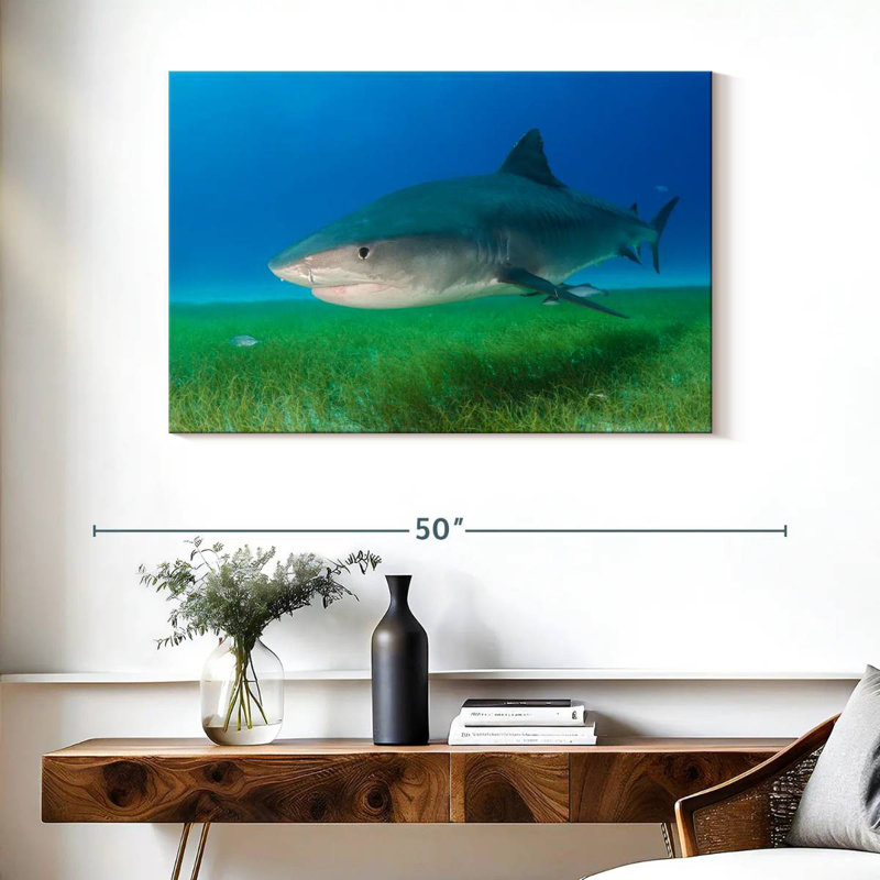 Tiger Shark On Sea Grass, 26" H x 39" W