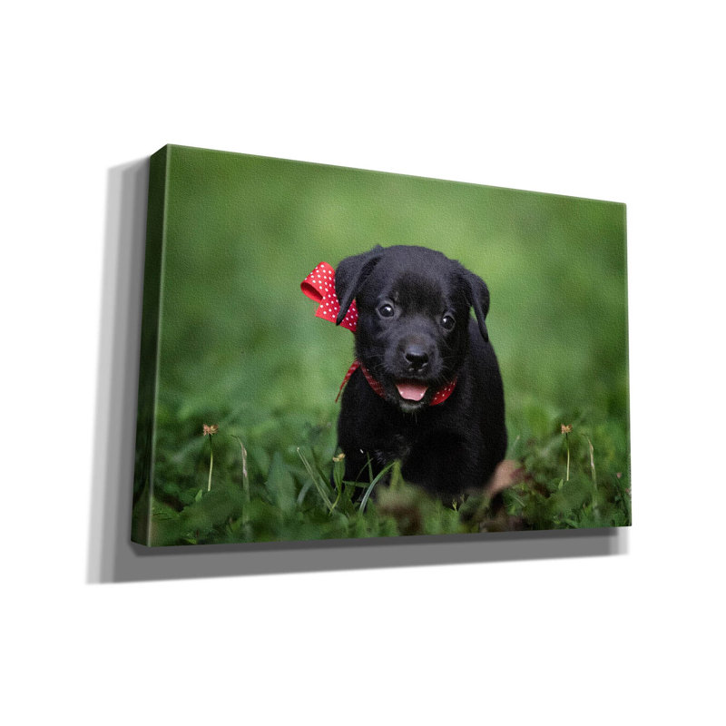 Black Lab Pup 10 par Jonathan Ross, H 12 po x l 18 po x P 0,75 po