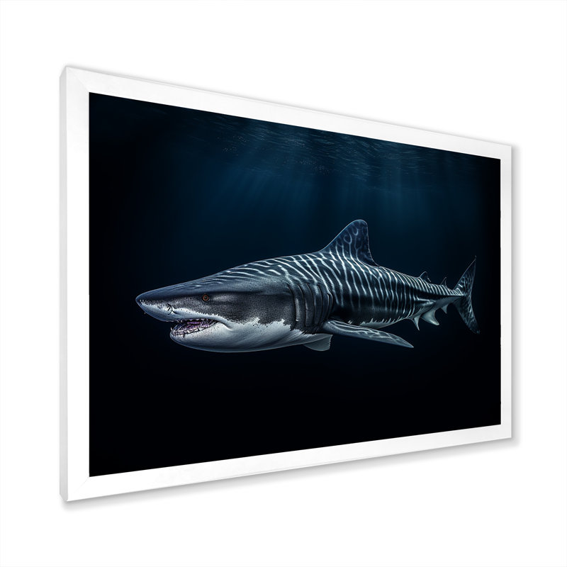 " Tiger Shark Territory II ", White Single Picture Framed, 16" H x 32" W x 1" D