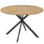Dining Table with Steel Base