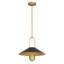 1 luminaire suspendu
