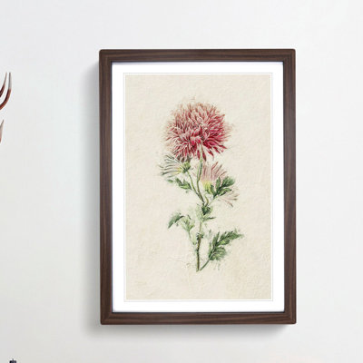Illustration of Pink Chrysanthemums - Picture Frame Painting Print