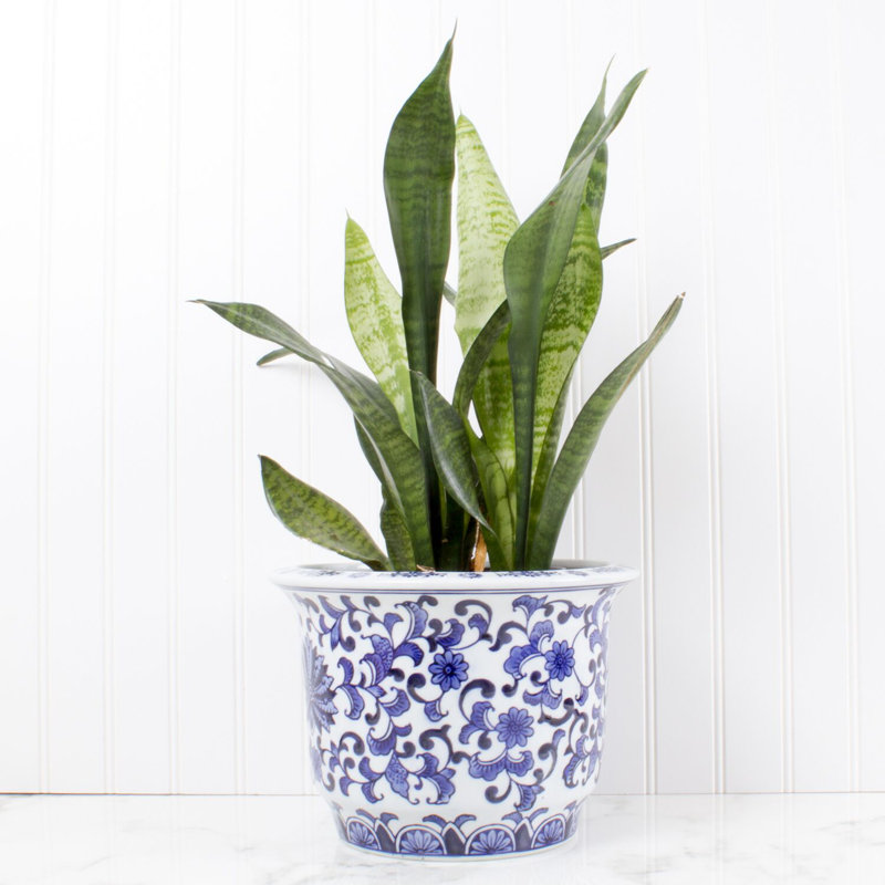 Brantley Ceramic Pot Planter