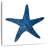 Aletra Navy Starfish-109383227