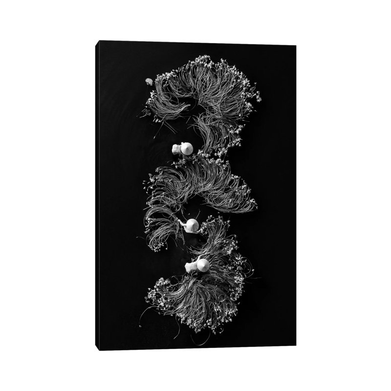 Waterlilies I by Trung Pham - Wrapped Canvas Print, 66.04 cm H x 45.72 cm W x 3.175 cm D