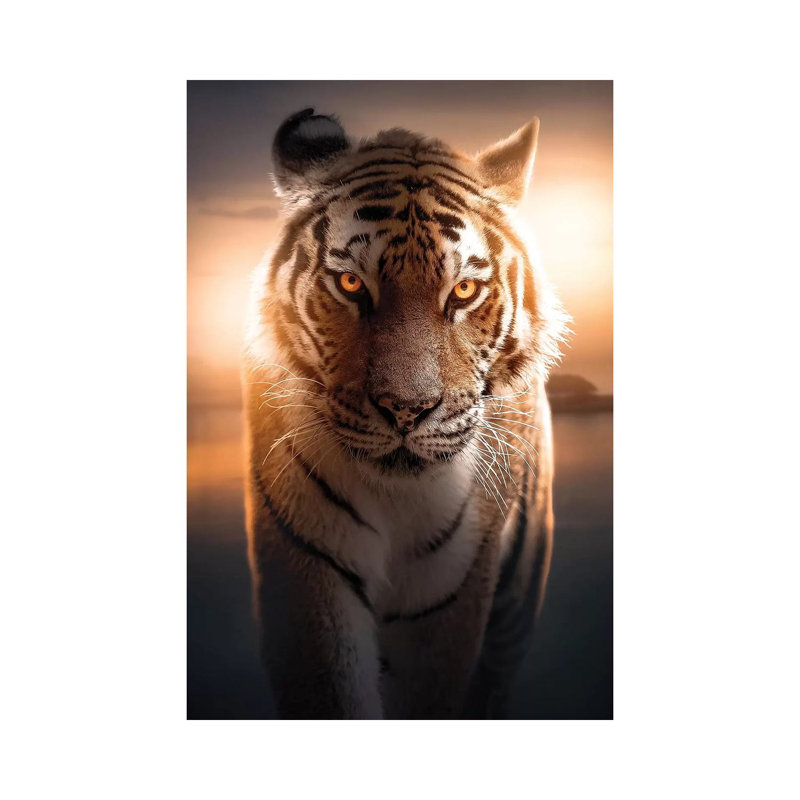 The Glowing Tiger by Zenja Gammer - Print on Canvas, 20.32 cm H x 30.48 cm W, Wrapped Canvas