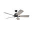 Ventilateur de plafond à DEL standard avec commande murale et ensemble d'éclairage inclus-2093242800