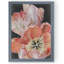 "pastel parrot tulipes i" par paul cezanne-reproduction d’art sur toile encadrée-1402897717-1402897722