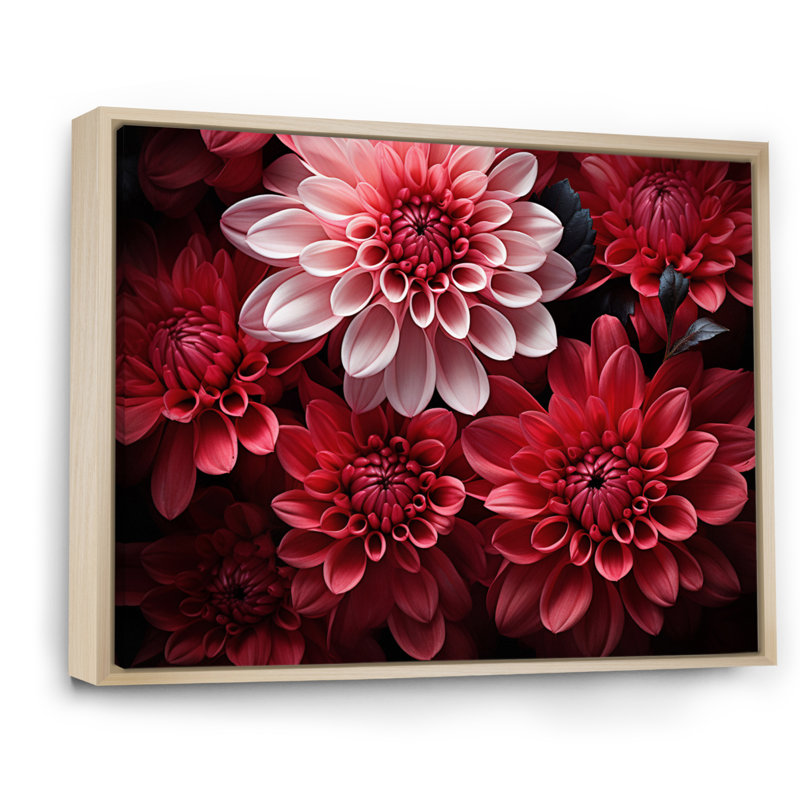 " Mums Enchanting Mums Black ", H 12 po x l 20 po x P 1 po, Cadre naturel flottant