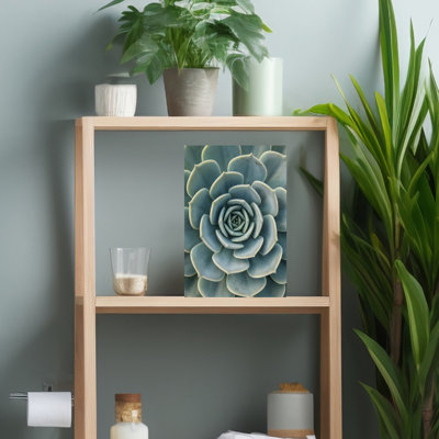 Succulent Plant Abstract Contemporary Succulent Wall Art