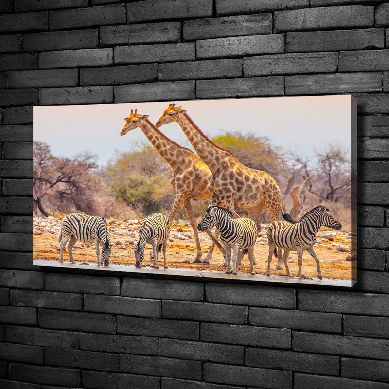 Giraffes And Zebras - No Frame Print on Canvas