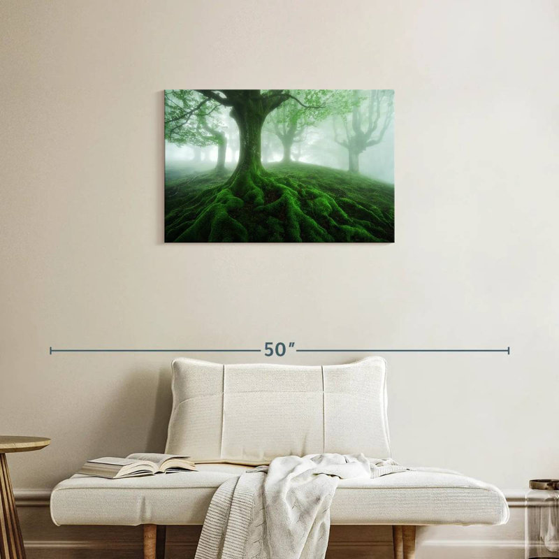 Forêt brumeuse Alvord Mossy, H 20 po x l 30 po