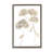 Soft Geranium Florets Framed Floater Canvas by Roy Ebert-1766237571-1776392600