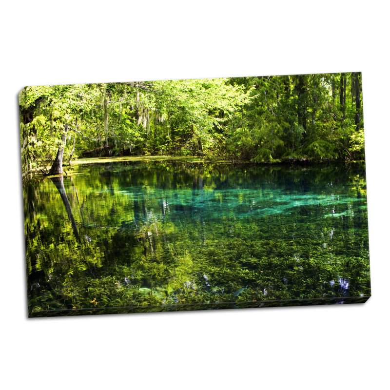 « clear spring eaux 1 », reproduction de photo sur toile tendue