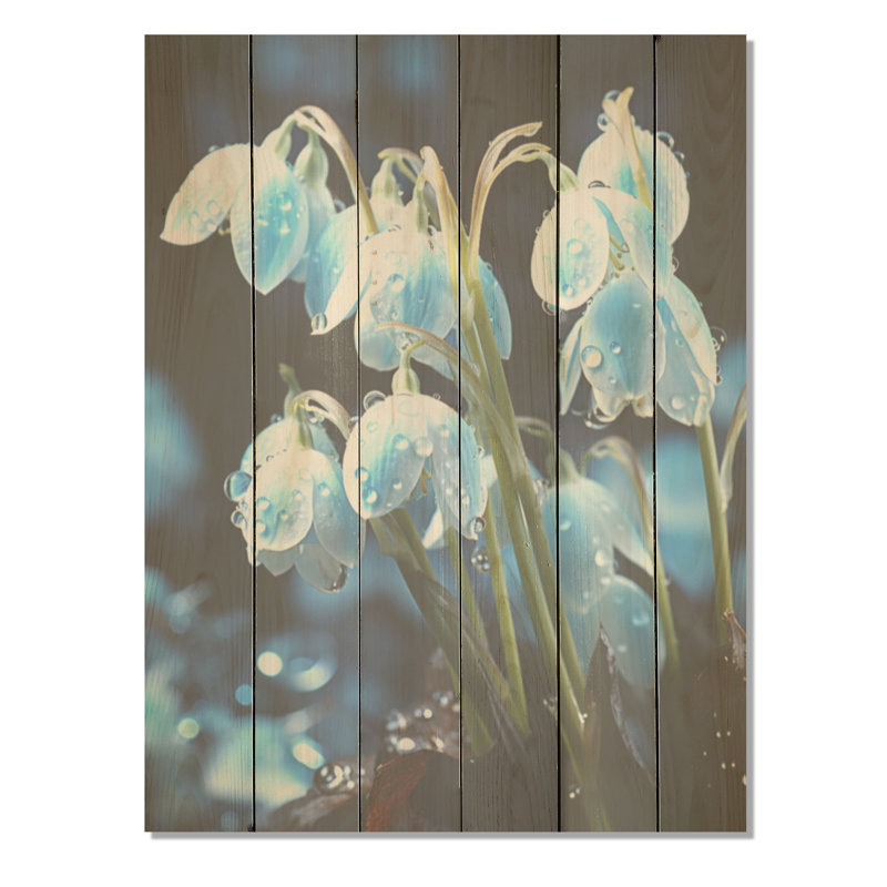 Hiver, photographie de fleurs en forme de gouttes de neige sur bois de pin naturel, H 40 po x l 30 po