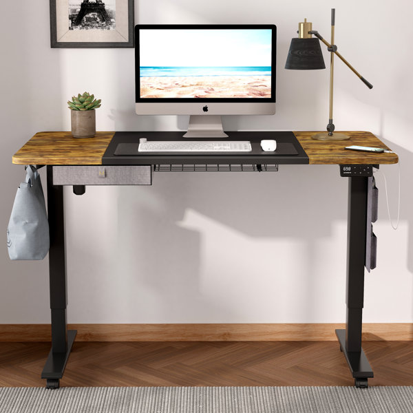 https://assets.wfcdn.com/im/09689716/resize-h600-w600%5Ecompr-r85/2224/222476851/Erminda+Height+Adjustable+Standing+Desk+With+Accessories.jpg