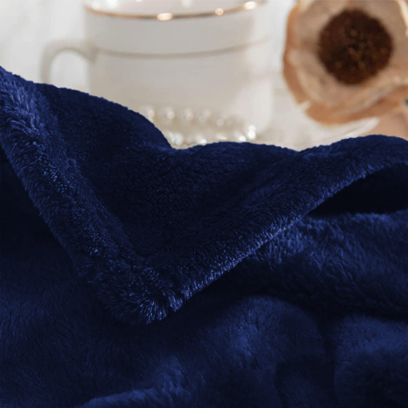 Aspire Homeware Ultra-Soft Hotel Quality Reversible Plain Weave Fleece Throw Blanket, Double (150cm W x 200cm L), Navy