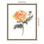 «Octo Marigold» par Amanda Cook, reproduction d'art sur toile encadrée-301193945