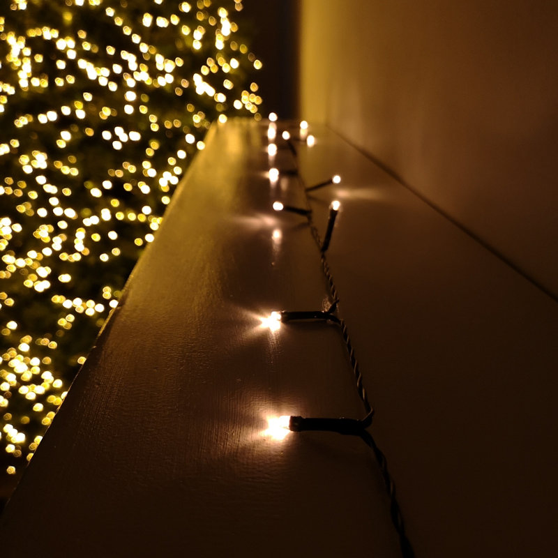 1000 - Bulb 10000 cm Battery Powered Standard LED