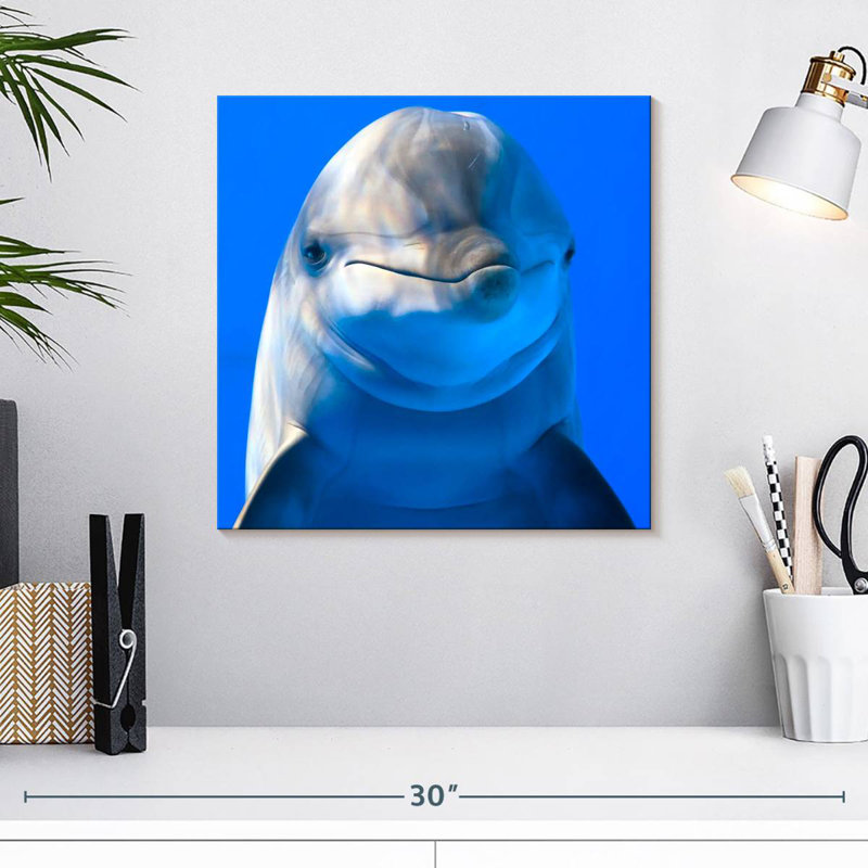 Brampt Sociable Dolphin, 16" H x 16" W