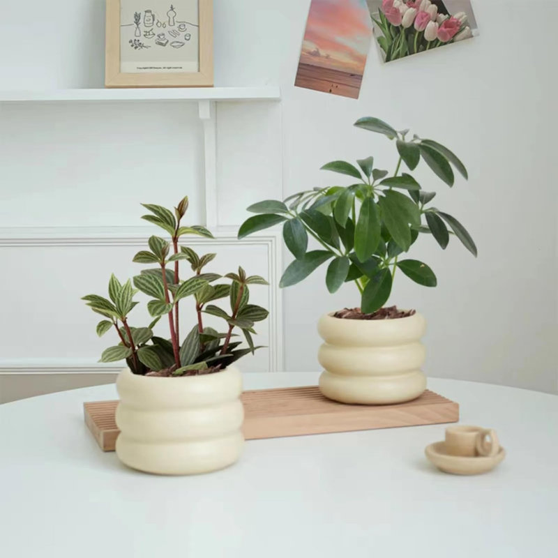 4.5" Ceramic Planter With Drainage