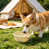 Beige est en rupture de stock sélectionné