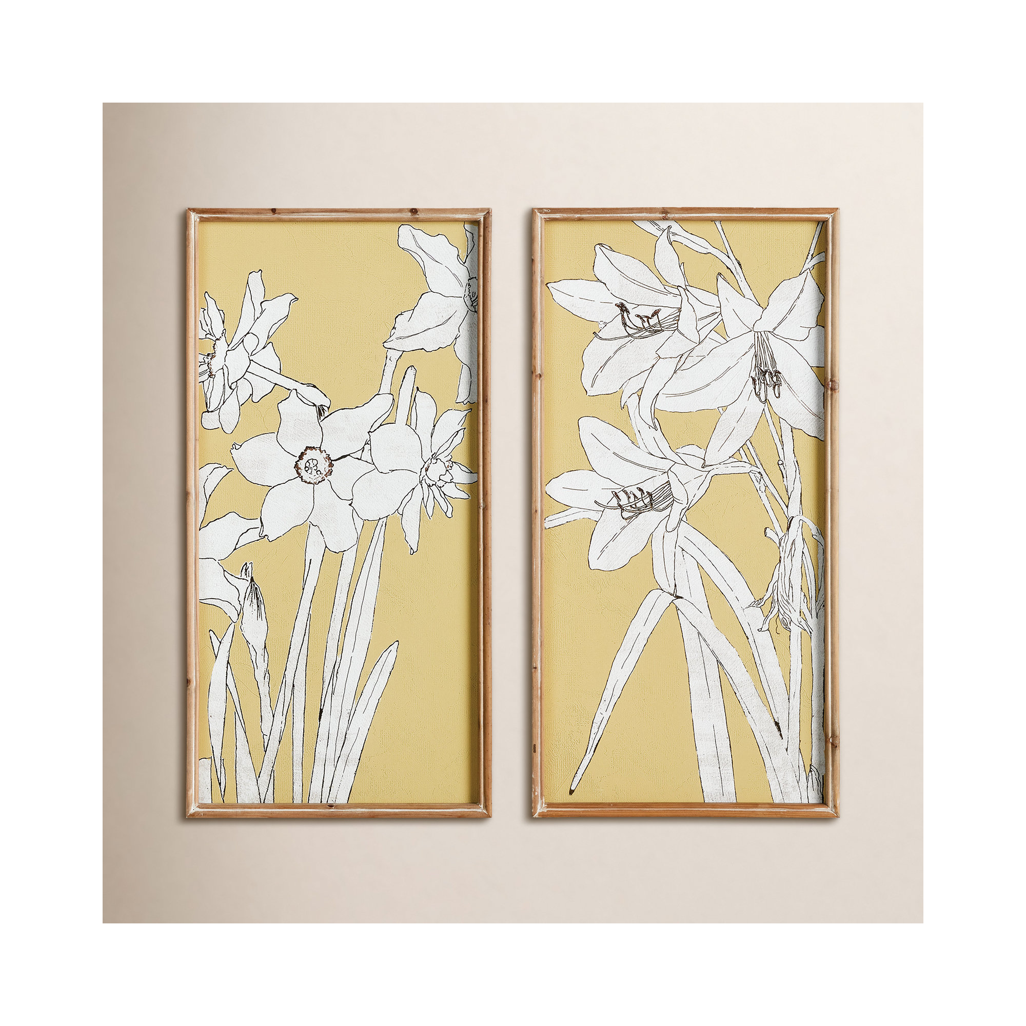Flowering Amaryllis Prints, Set of 2