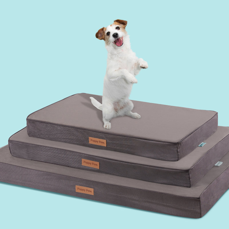 Extra Large Gray Faux Velvet Orthopedic Dog Bed