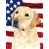 Labrador Retriever sélectionné