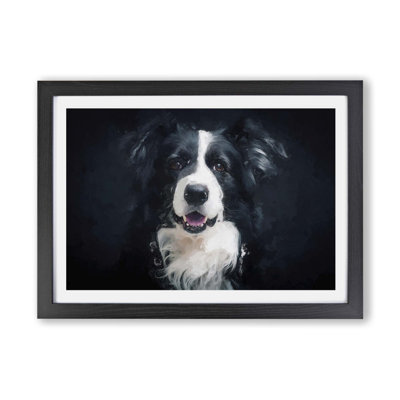 Portrait of a Border Collie Dog - Framed Print