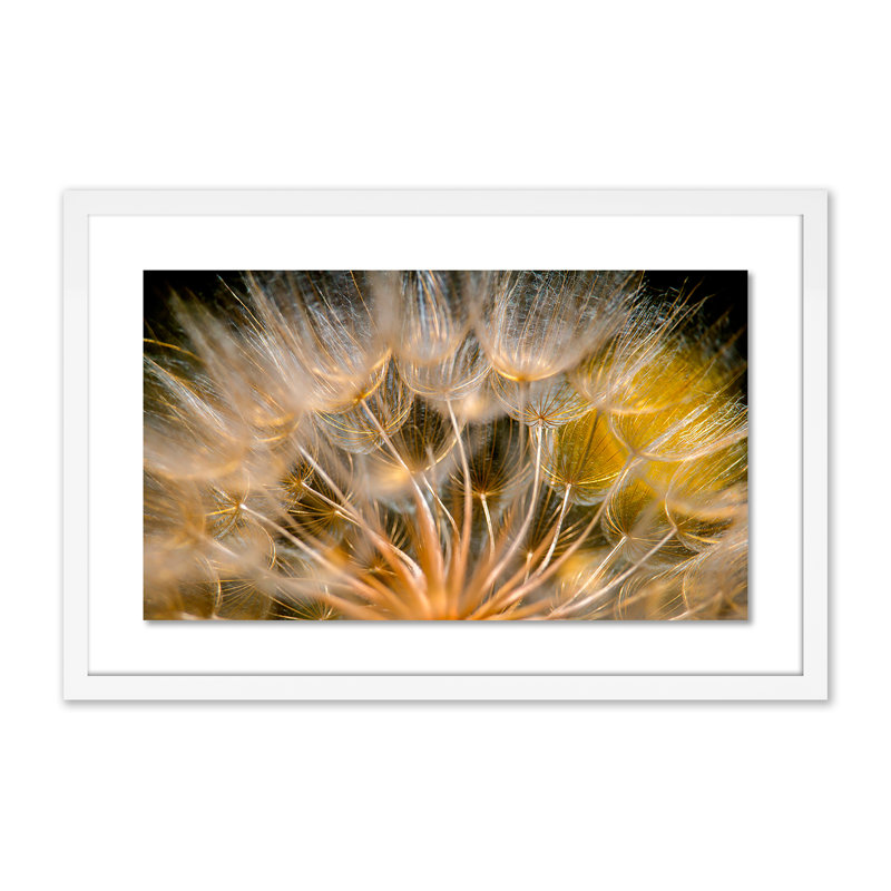 Float Away Print by Geoffrey Baris, 30" H x 48" W x 2.5" D, White