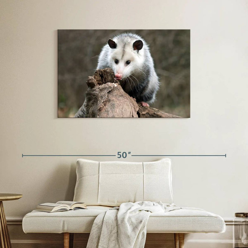 Bramble opossum, H 26 po x l 39 po
