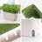 Creation Window Herb Planter Box,Vibrant Window Herb Garden,Self-Watering Rectangular Planter For Kitchen,Plants,And Succulents - Set Of 3,Orange,Green,3D X 9W X 5.5H