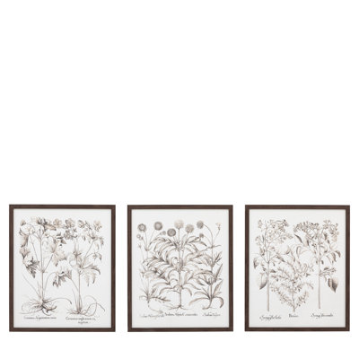 Evergreen Framed Art
